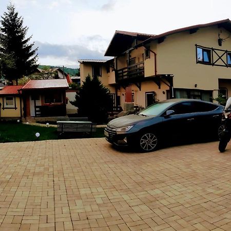 Hotel Casa Cu Flori Buşteni Esterno foto