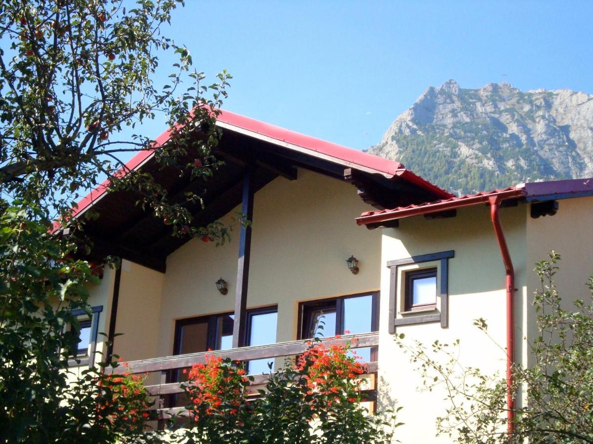 Hotel Casa Cu Flori Buşteni Esterno foto