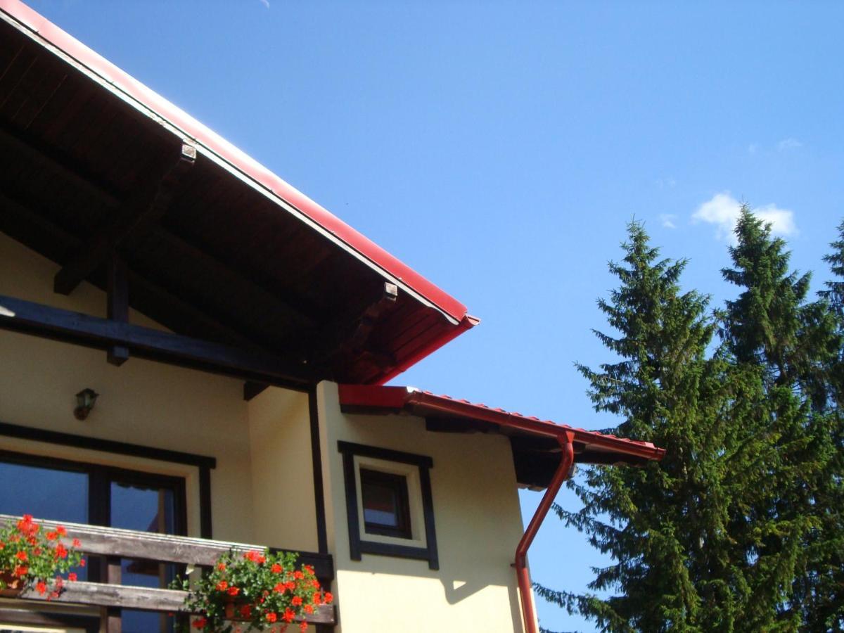 Hotel Casa Cu Flori Buşteni Esterno foto