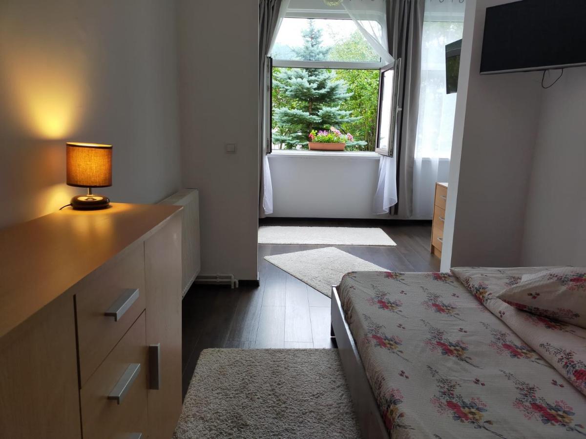 Hotel Casa Cu Flori Buşteni Esterno foto