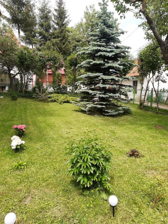 Hotel Casa Cu Flori Buşteni Esterno foto