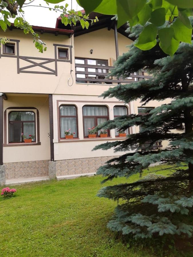 Hotel Casa Cu Flori Buşteni Esterno foto