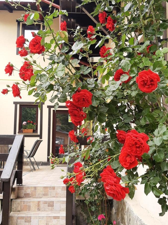 Hotel Casa Cu Flori Buşteni Esterno foto