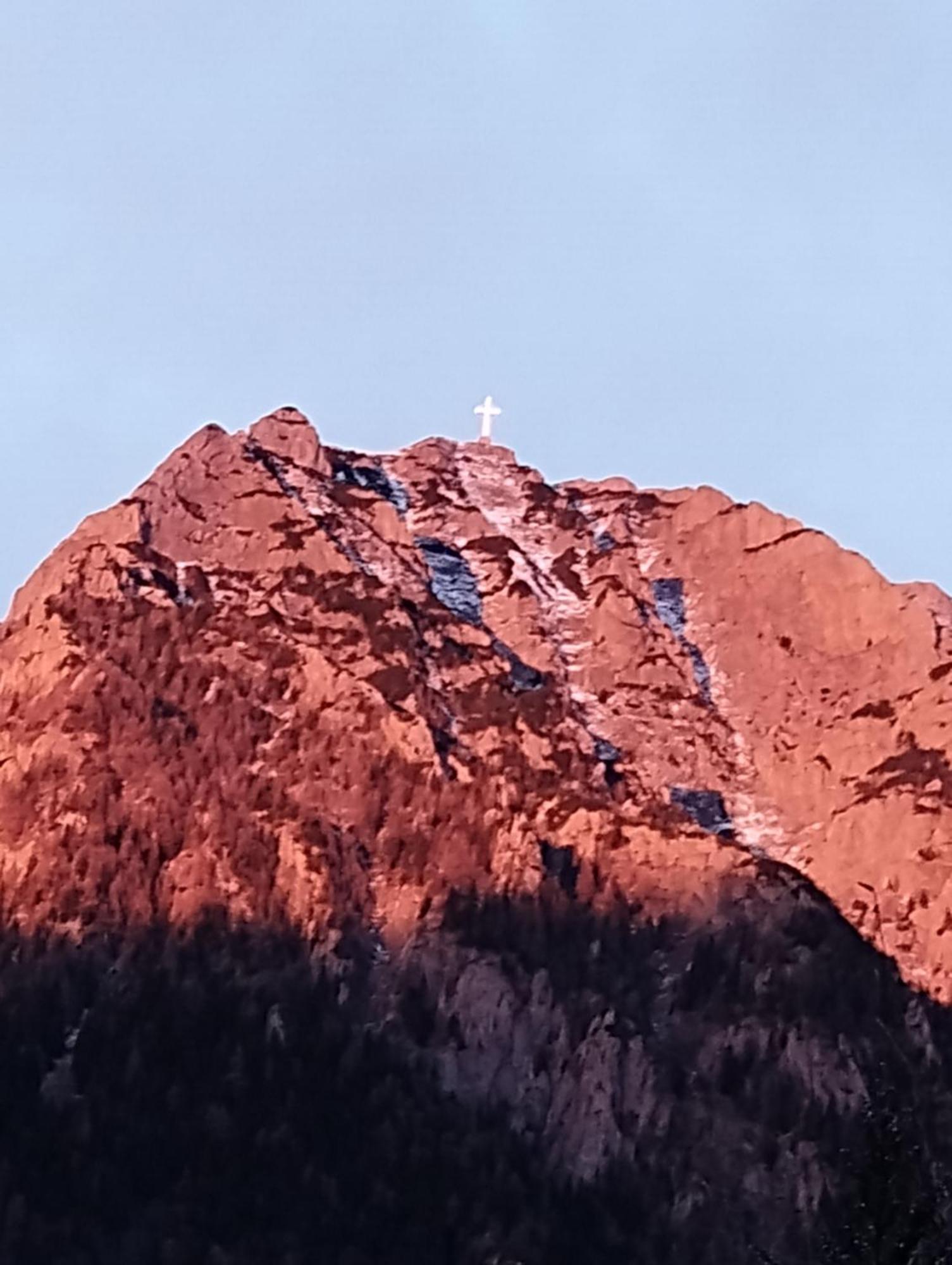 Hotel Casa Cu Flori Buşteni Esterno foto