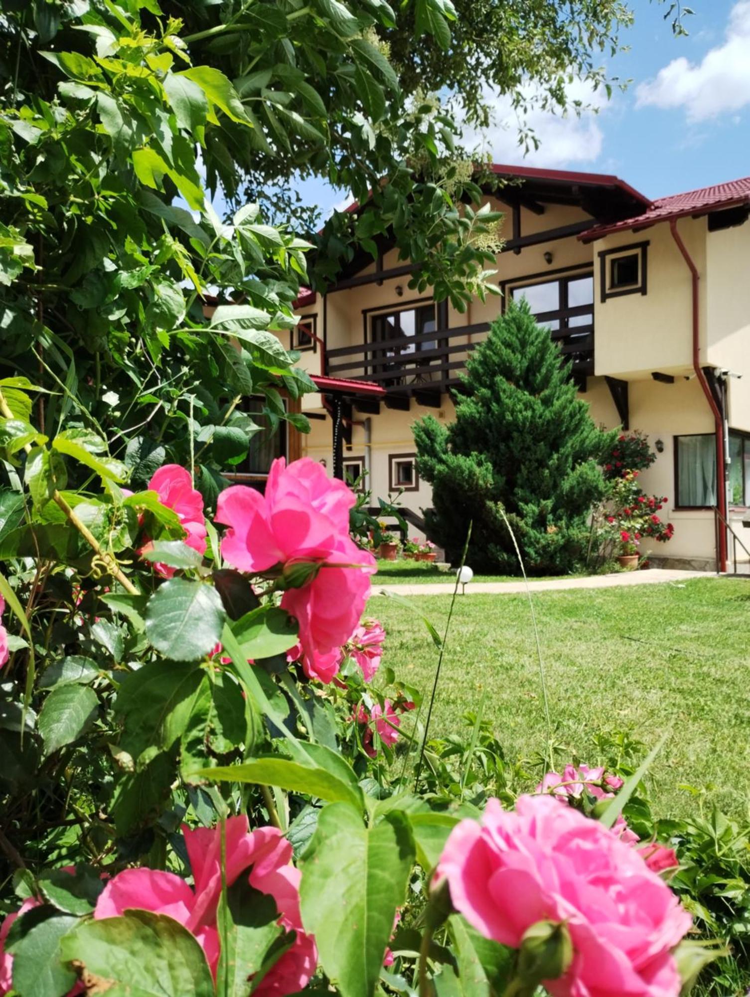 Hotel Casa Cu Flori Buşteni Esterno foto
